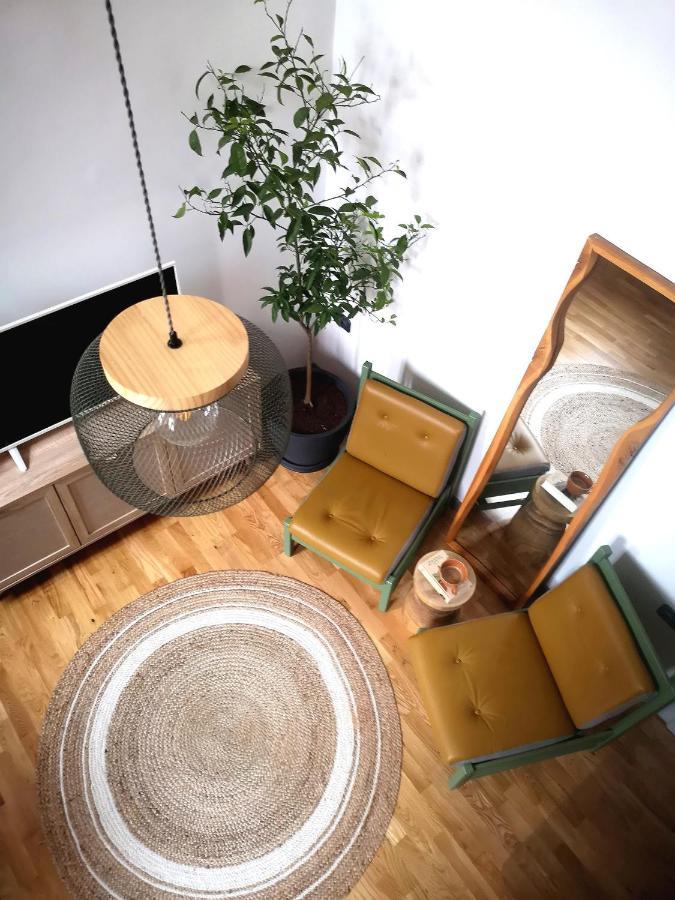 Codicei Studio Braşov Extérieur photo